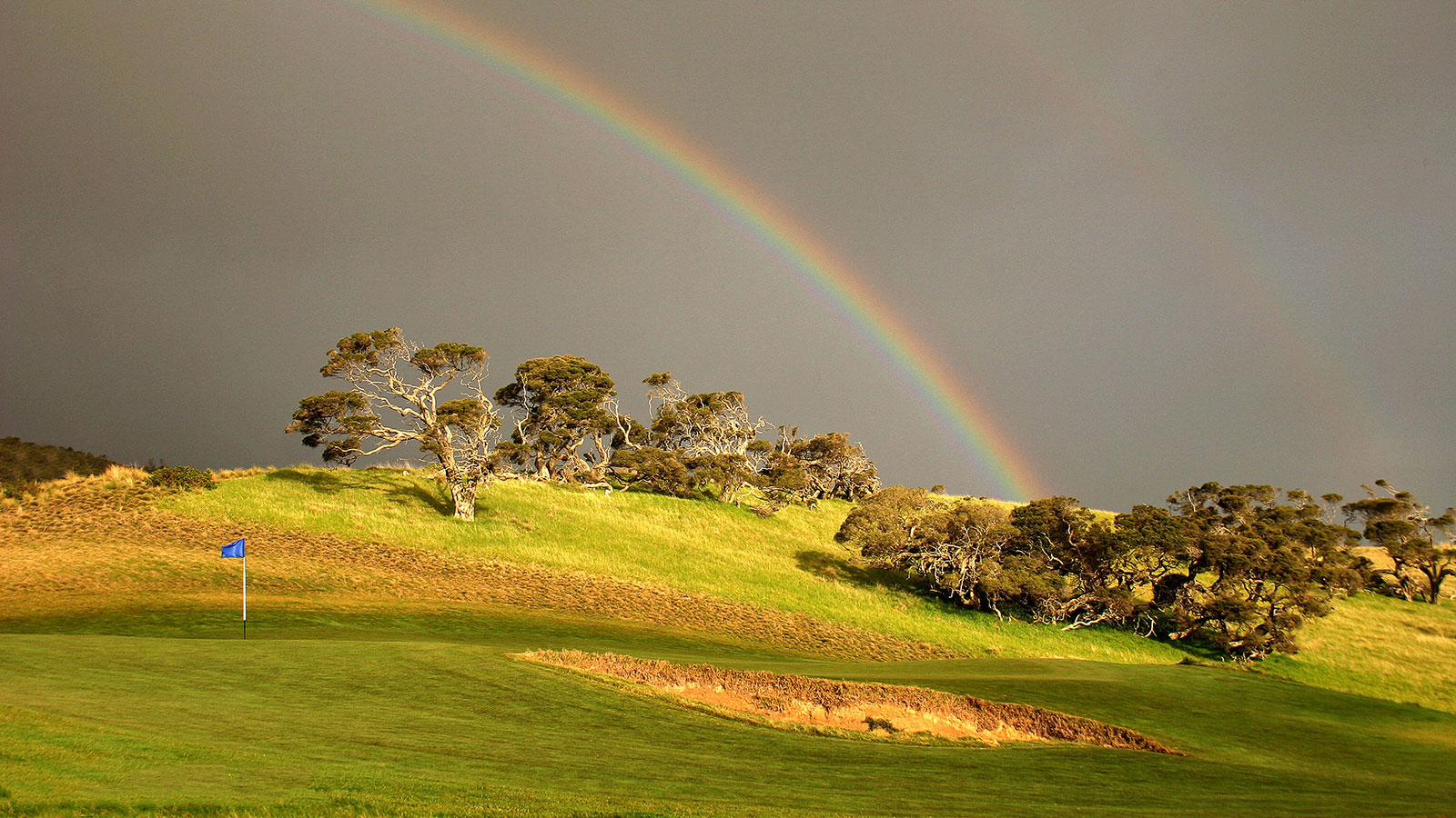 Moonlight Bay Apartments - Golf Courses