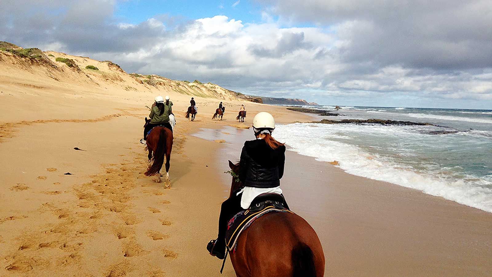 Moonlight Bay Apartments - Local Attractions - Horse Riding